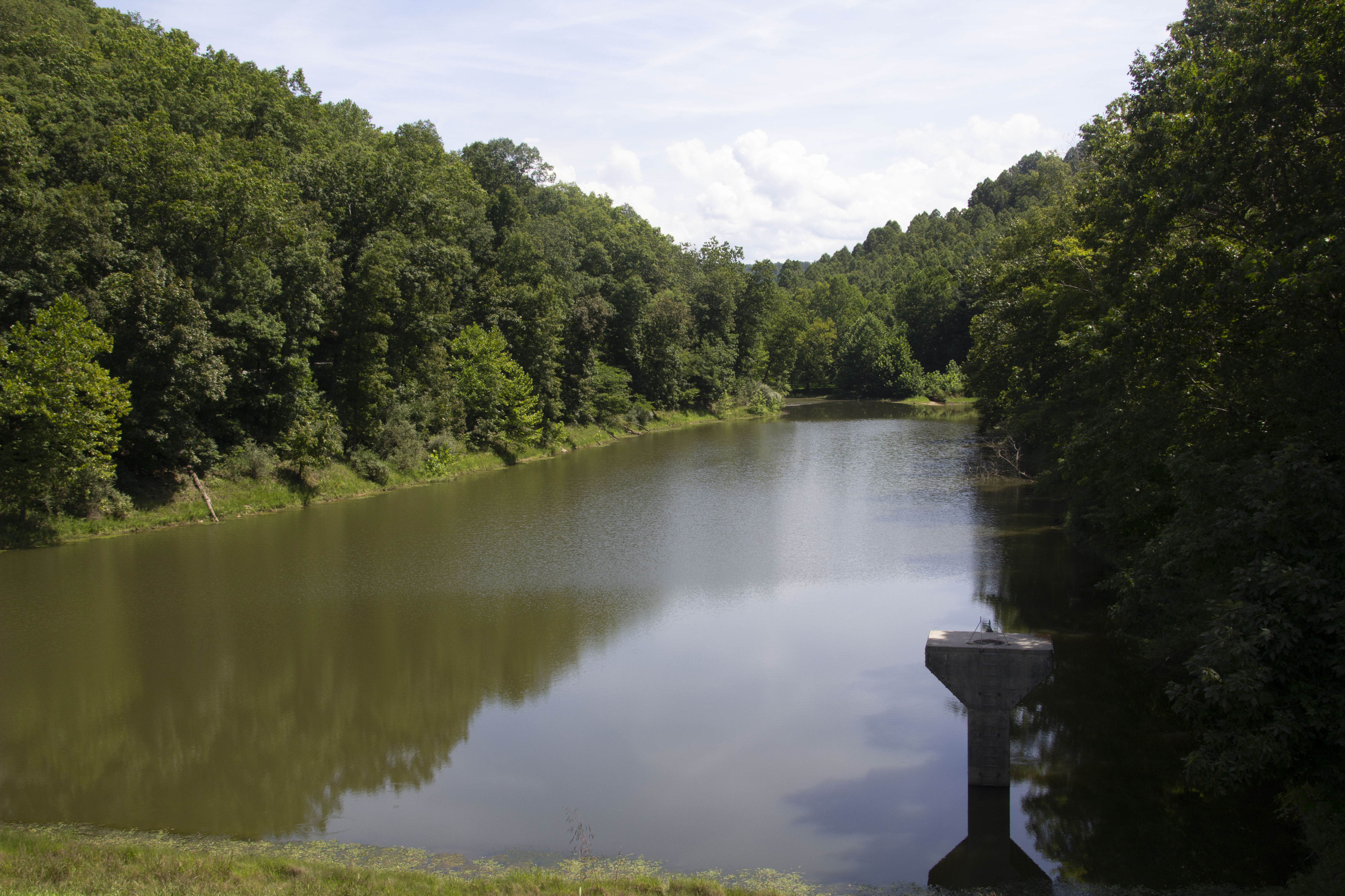 WVCA NEWS